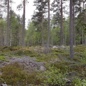20170607_091140