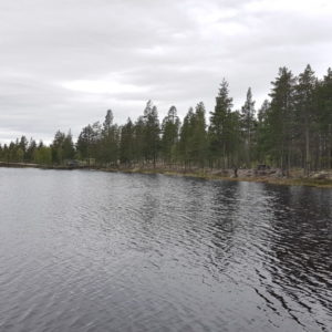 20170609_143642