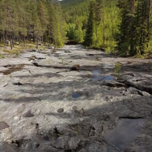 20170614_151336