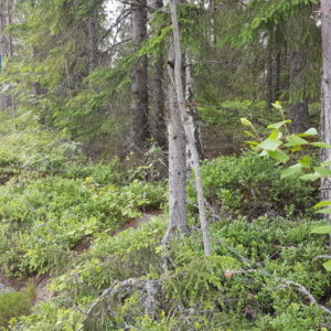 20170618_101929