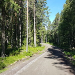 20170619_093429