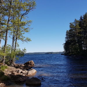 20170620_091954