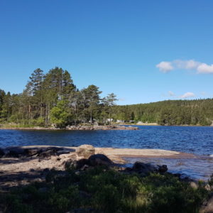 20170620_092717