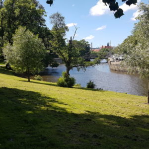 20170620_132603