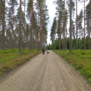 IMG_20170604_114723