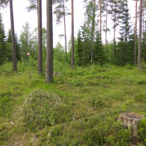 IMG_20170616_172513