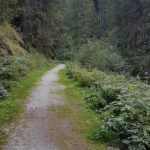 20170826_151711
