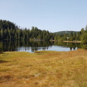 20170827_101425
