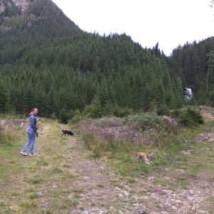 IMG_20170825_140603