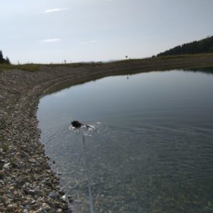 IMG_20170826_100414