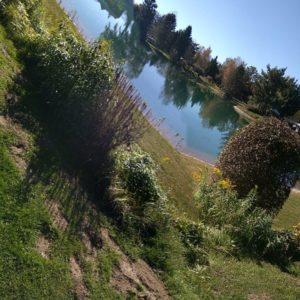 PANO_20171015_132031