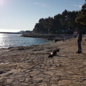 20180401_180340