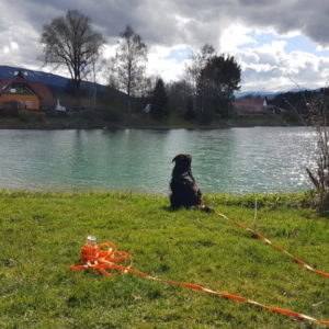 20180413_154516