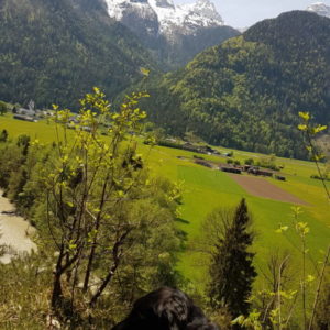 20180427_132517