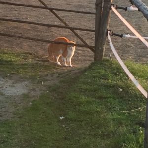 IMG-20180414-WA0012
