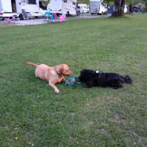 IMG_20180430_201730