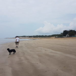 20180604_130909