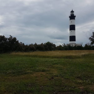 20180611_181446