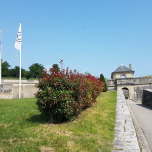 20180613_113920