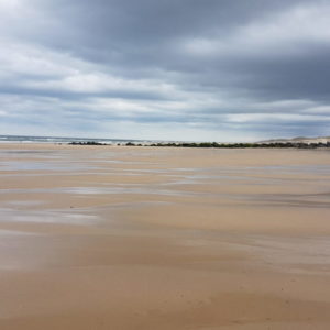 20180614_104455