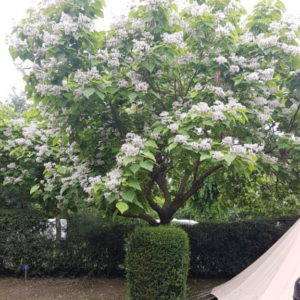 20180617_092256