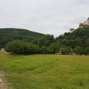 20180617_103332