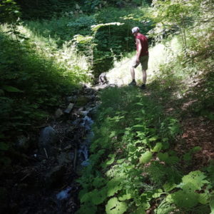 20180620_095330