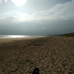 IMG_20180606_191854
