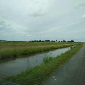 IMG_20180608_131342