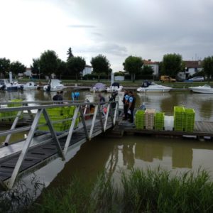 IMG_20180612_184733