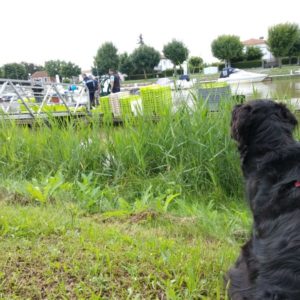IMG_20180612_184944