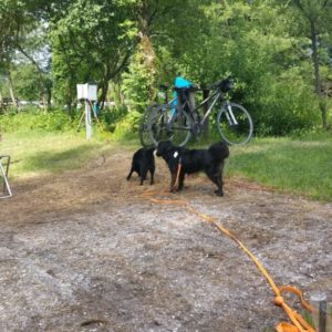 IMG_20180621_162017