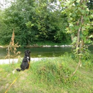 IMG_20180621_185524