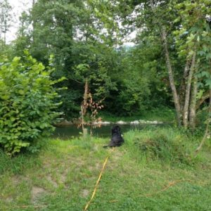 IMG_20180621_190213