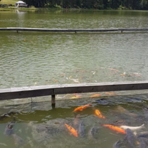 20180714_115105
