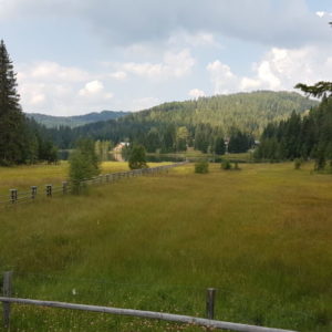 20180805_105428