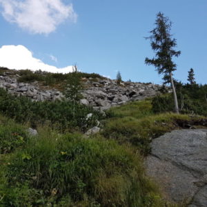 20180817_173125