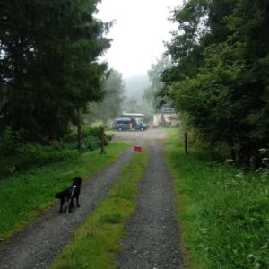 IMG_20180803_080424