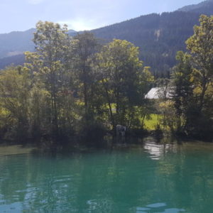 20180912_114840