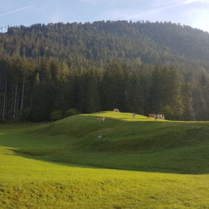 20180913_082251