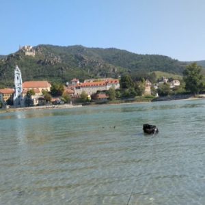 IMG_20180921_113501