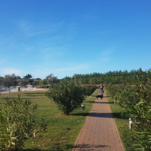 20181031_140948