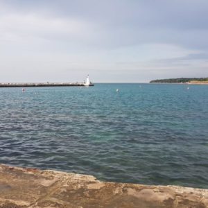 20181103_123948