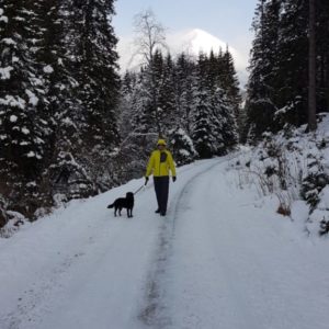 20181215_095442