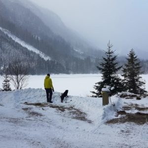 20181215_103939