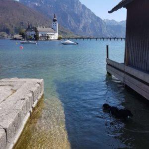 20190419_141743