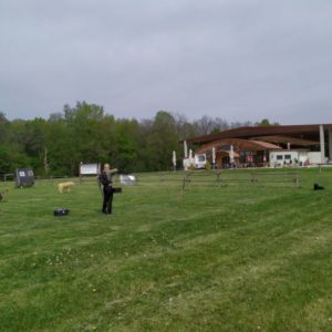 IMG_20190426_173848