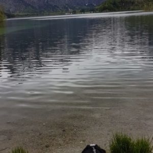 20190510_111341