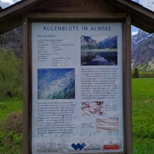 IMG_20190510_103833