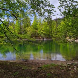 IMG_20190510_143358